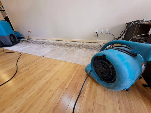 Professional Flood Damage Cleanup technician working in Robbins, TN